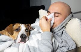 Un hombre resfriado se suena los mocos, mientras su perro le hace compañía.