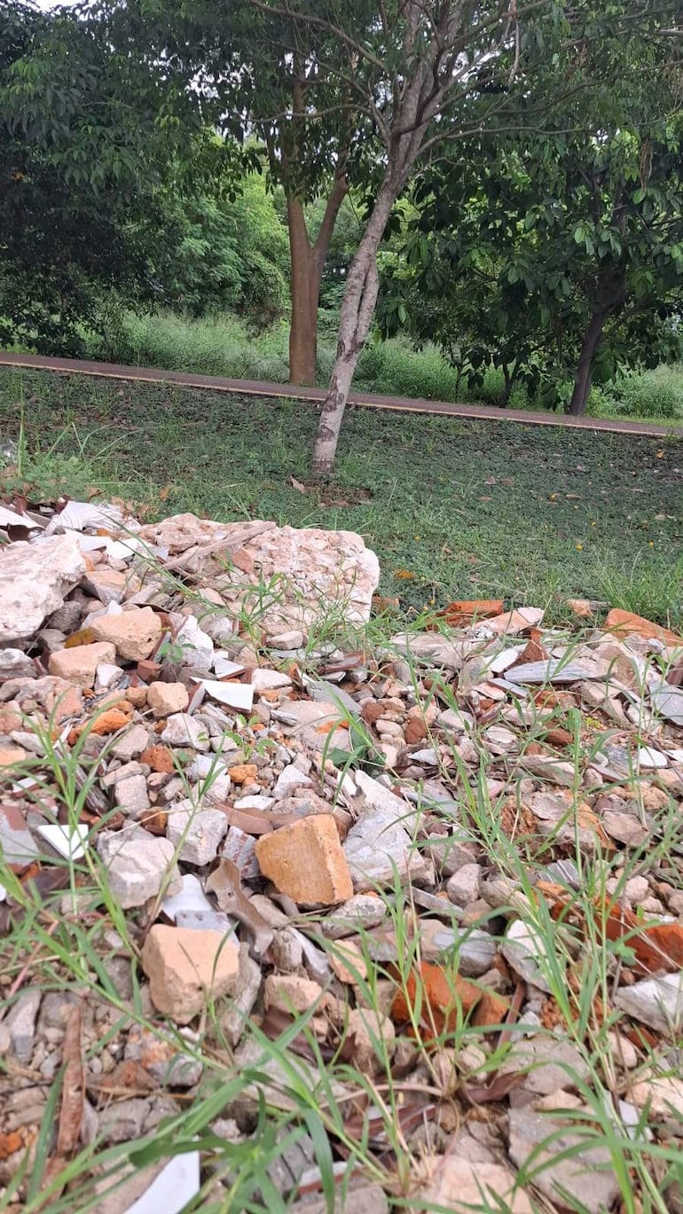 Acumulación de escombros entre vegetación en un parque, con piedras y fragmentos visibles, rodeado de árboles y un camino.