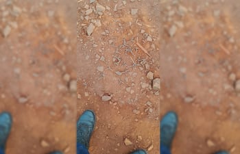 La Policía incautó un total de 31 unidades de clavos "miguelito".