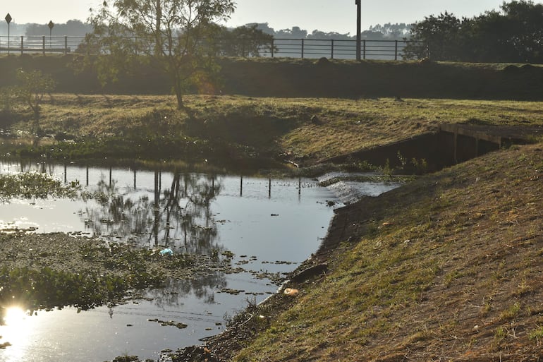 Entorno natural con estanque rodeado de vegetación, reflejos del sol y evidencia de posible contaminación.