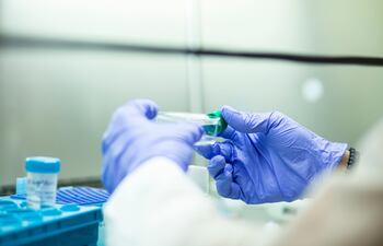 La Sociedad Brasilera de Neurocirugía Pediátrica alertó sobre riesgoso tratamiento experimental con células madre, que se ofrece en Ciudad del Este.