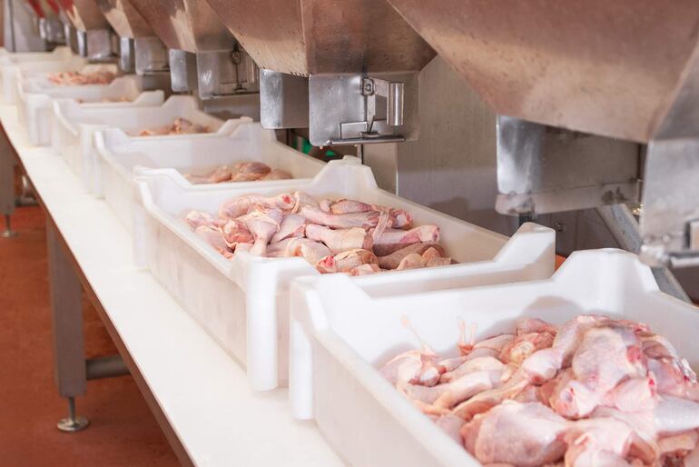 Bandejas blancas con muslos y alitas de pollo crudo sobre mesa en un entorno industrial limpio y bien iluminado.