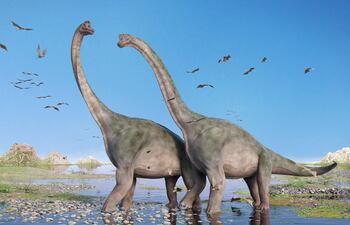 Saurópodos, imagen ilustrativa.