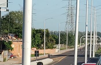 Una vaca en el viaducto del Corredor Vial Botánico