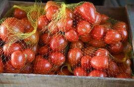 Se prevé la exportación de 600 toneladas de tomate, esta semana.
