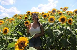 El campo de girasoles de Cabañas se consolida como un atractivo turístico imperdible.
