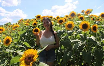 El campo de girasoles de Cabañas se consolida como un atractivo turístico imperdible.
