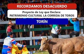Hombre con capote rojo y amarillo enfrente de un toro, en un evento con un público entusiasta de fondo.