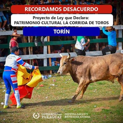 Hombre con capote rojo y amarillo enfrente de un toro, en un evento con un público entusiasta de fondo.
