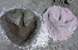 Un grupo de más de 100 investigadores de las Universidades de Oxford y Birmingham ha descubierto el mayor yacimiento de dinosaurios del Reino Unido, con más de 200 huellas que datan del periodo Jurásico Medio, hace 166 millones de años. La excavación, que se llevó a cabo en junio de 2024 en una cantera de Oxfordshire (noroeste de Londres), descubrió cinco extensas huellas de pisadas, con más de 150 metros de longitud en el caso de la más extensa, informó este jueves la Universidad de Birmingham en un comunicado.
