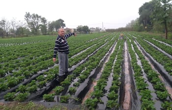 Don Carlos Quintana desde niño aprendió a cultiva. Todo su conocimiento le sirvió para forjar su camino y criar a sus dos hijos.