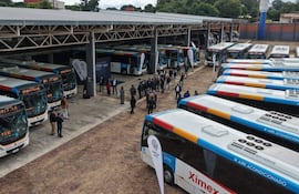 Grupo de 15 personas conversando en un garaje, rodeados de nuevos autobuses de la marca Volkswagen.