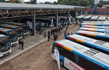 Grupo de 15 personas conversando en un garaje, rodeados de nuevos autobuses de la marca Volkswagen.