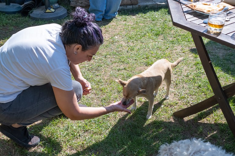 Cuánto tiempo pueden recordar los perros a una persona.