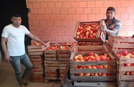 Los productores Abel y Adilio Brítez, de Coronel Oviedo, afectados por la saturación del mercado nacional.