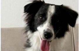 Eddie fue visto por última vez en la zona de la Facultad de Derecho UNA, cerca del INAN, Primer Presidente, CPJ y Curda.