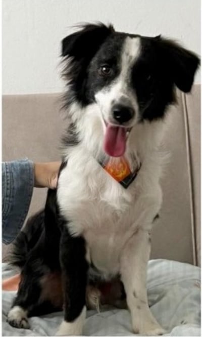 Eddie fue visto por última vez en la zona de la Facultad de Derecho UNA, cerca del INAN, Primer Presidente, CPJ y Curda.