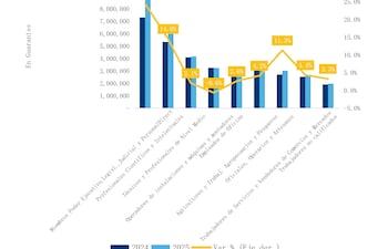 Promedio de ingreso mensual por ocupación principal