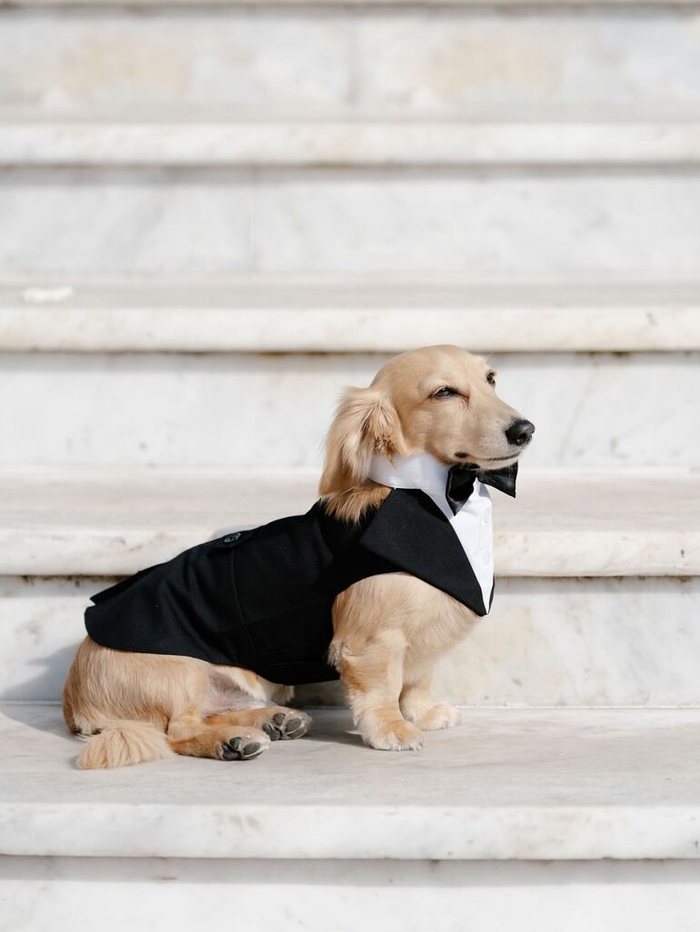 Así de elegante estuvo Leo Leclerc en la boda de sus padres. (Instagram/Alexandra Leclerc)
