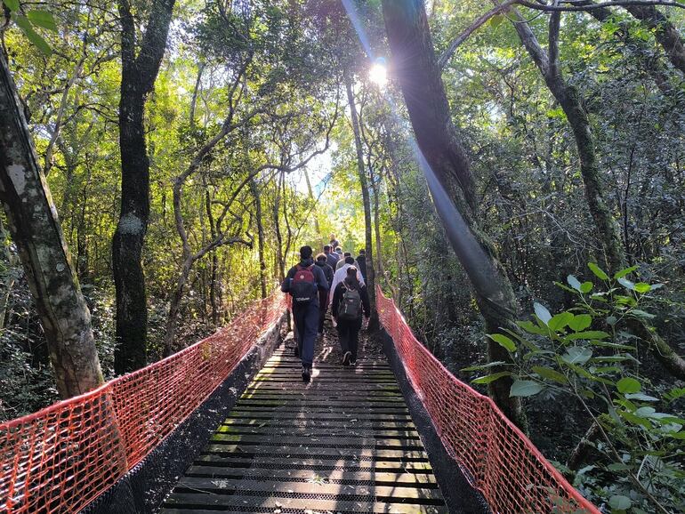 ASU2025: Cuatro deportes se disputarán en Itapúa con 300 jóvenes atletas de 28 países