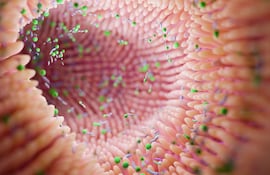 Concepto de microbioma y microbiota, microvellosidades del intestino. Imagen ilustrativa.