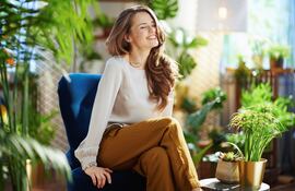 Beneficios de tener plantas en el hogar.