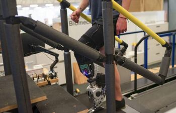 Un objetivo de la investigación para personas amputadas es que las prótesis puedan emular las prestaciones del miembro perdido. Una nueva interfaz neuroprotésica se acerca a ello con una pierna biónica que responde plenamente al sistema nervioso, lo que acelera la capacidad de marcha y un caminar más natural.