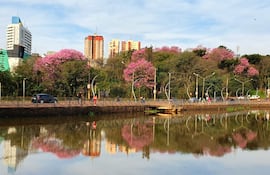 Personas sin identificar caminan y montan bicicletas en un sendero junto a un lago, rodeados de vegetación y edificios urbanos.