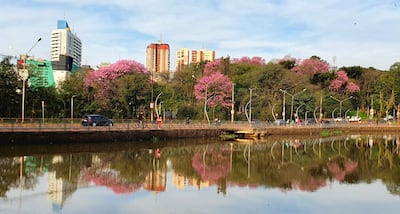 Personas sin identificar caminan y montan bicicletas en un sendero junto a un lago, rodeados de vegetación y edificios urbanos.