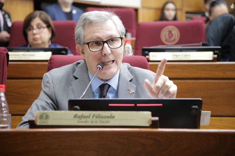 Senador Rafael Filizzola (PDP). Foto: Prensa Senado.