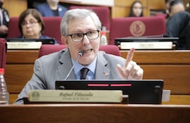 Senador Rafael Filizzola (PDP). Foto: Prensa Senado.