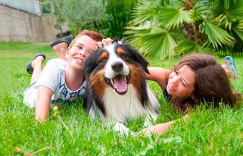 Niños jugando con su perro
