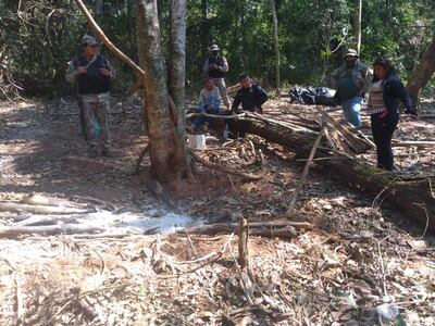 Uno de los campamentos marihuaneros en la reserva.