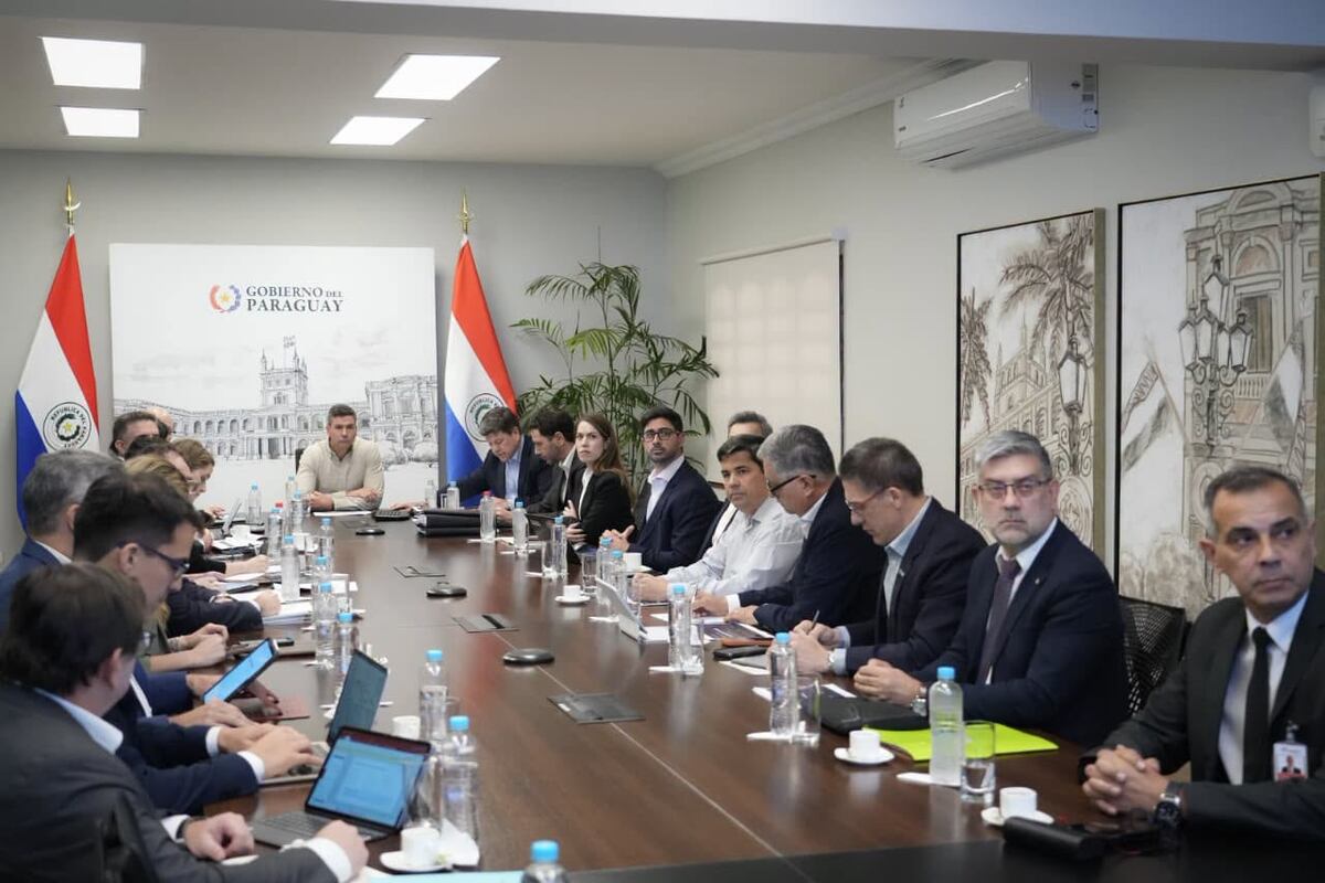 Tras cambiar al titular de la ANDE, Peña da 30 días a la Mesa Energética para fijar reglas a inversores