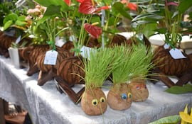 Además de flores y plantas, en la Expoferia Yvoty Rape también se pueden encontrar diversas artesanías y artículos decorativos, ideales para regalar o embellecer los espacios del hogar.