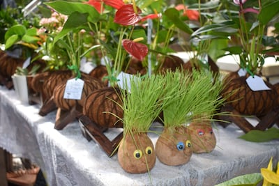 Además de flores y plantas, en la Expoferia Yvoty Rape también se pueden encontrar diversas artesanías y artículos decorativos, ideales para regalar o embellecer los espacios del hogar.