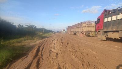 Camiones varados en la ruta.