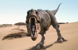 Imagen ilustrativa de un tiranosaurio.