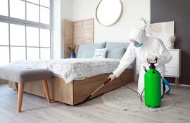 El control de plagas es un servicio sumamente necesario que otorga protección.