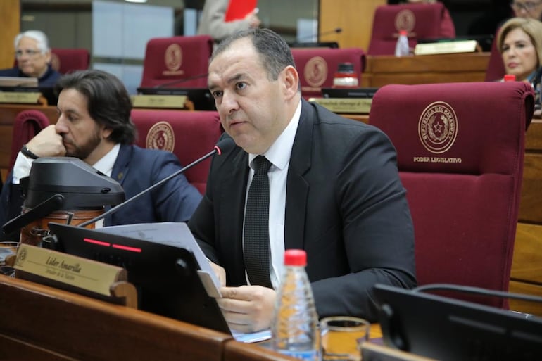 Líder Amarilla. senador del PLRA. Foto: Prensa Senado.