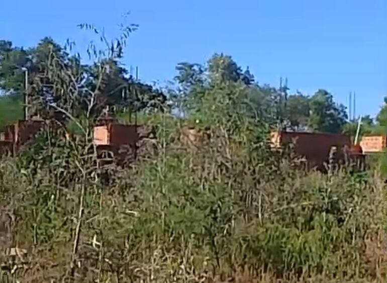 Las malezas rodean la obra de la USF, abandonada en el Chaco central.