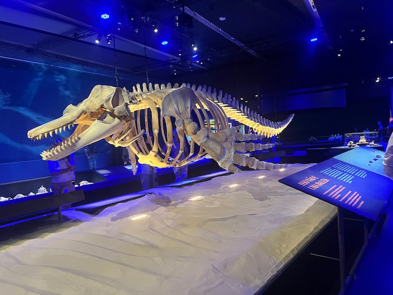 Museu do Amanhã, Río de Janeiro, Brasil.