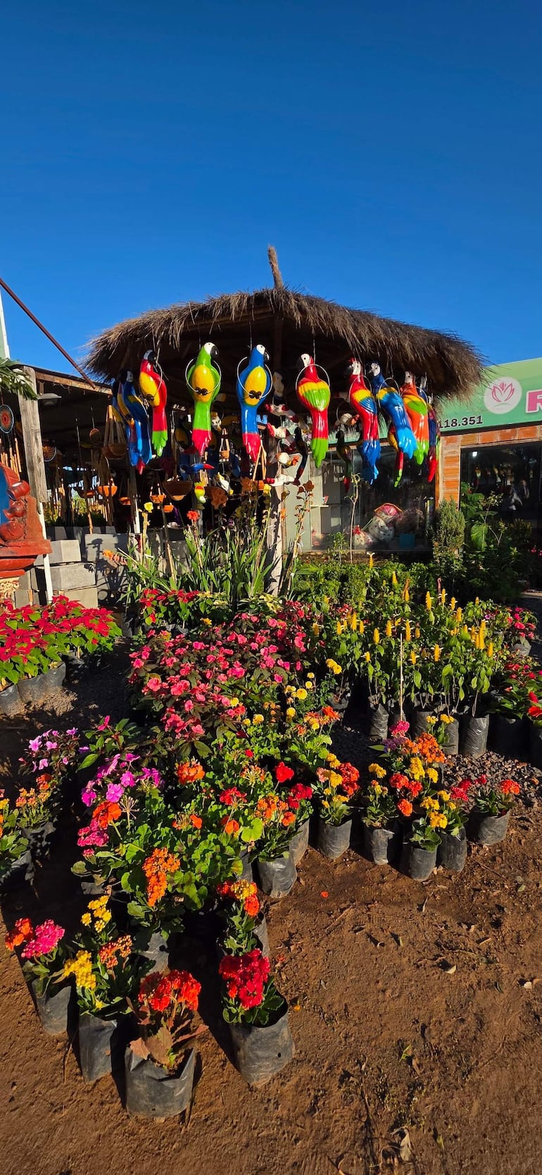 Ambiente de mercado al aire libre con flores en macetas negras, adornos coloridos y un puesto rústico bajo un techo de palma.