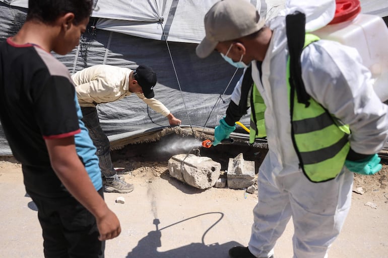 Imagen sin descripción