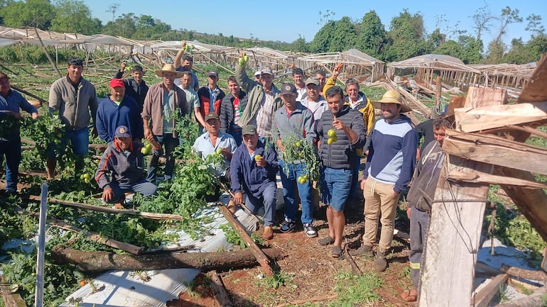 Veinte personas en campo de cultivo, algunos con sombreros de paja, sosteniendo limones y tomates, trabajando bajo el sol.
