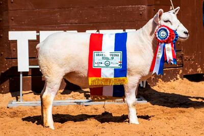 Este ejemplar es el que obtuvo record en valor de venta