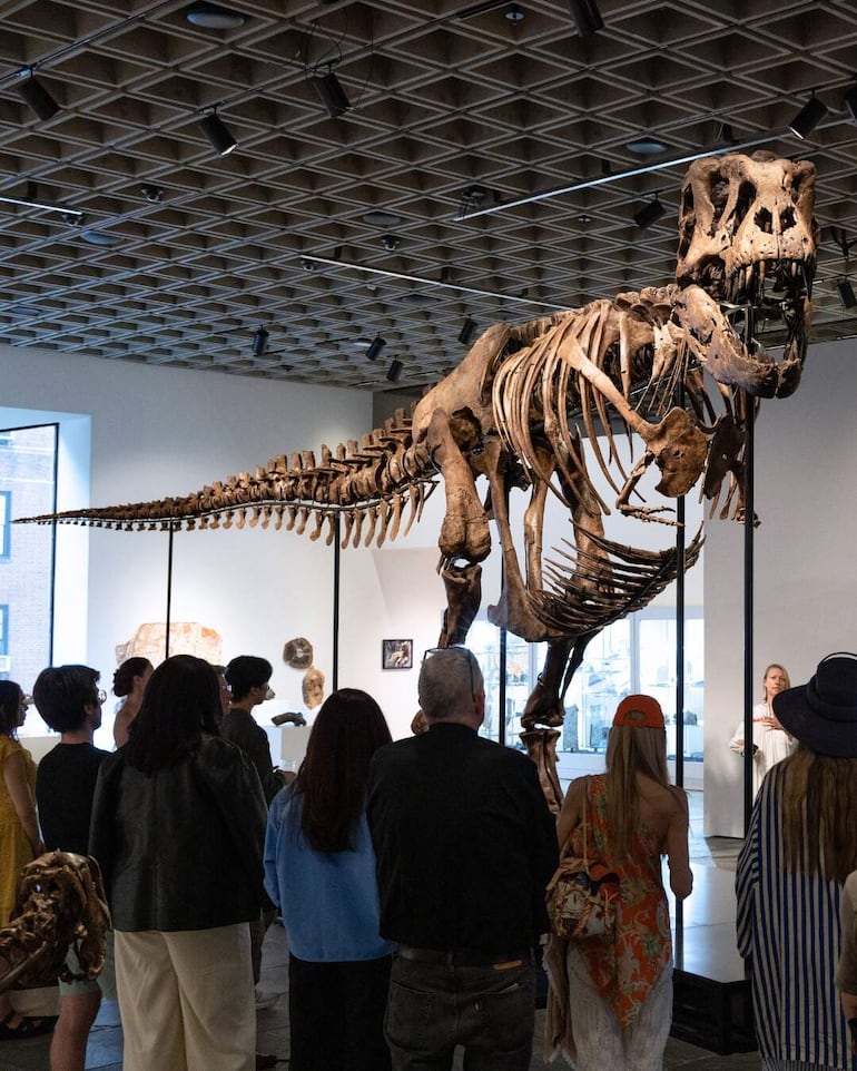 Fotografía difundida por la casa de subastas Sotheby's en su página oficial, que muestra a personas observando un ejemplar de los esqueletos de Tyrannosaurus Rex más grandes y completos que se conocen se vendió este martes por un récord de 50,1 millones de dólares en una subasta de la casa Sotheby's en Nueva York (EE.UU.).