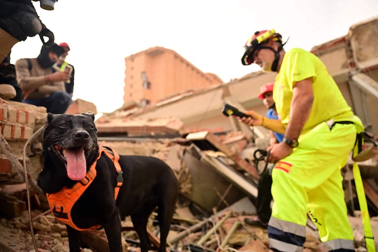 Rescatistas utilizan un perro de búsqueda para localizar víctimas entre los escombros de un edificio colapsado en Catia La Mar, estado de La Guaira, en las afueras de Caracas, el 4 de julio de 2026, tras los terremotos gemelos del 24 de junio.