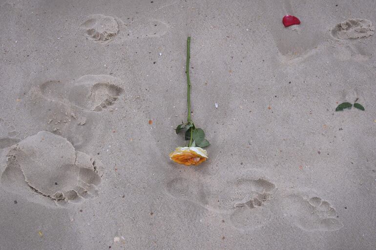 Una flor como parte de una ofrenda a lemanjá durante una ceremonia religiosa este lunes, en la playa de Copacabana en Río de Janeiro (Brasil). 