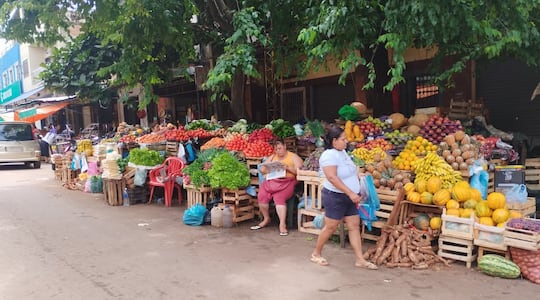 Comerciantes del Mercado Municipal N° 1 de Villarrica reclaman apoyo gubernamental para mejorar ventas.